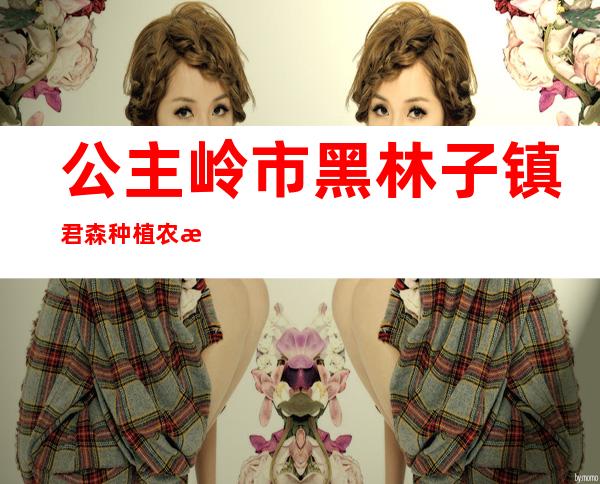 公主岭市黑林子镇君森种植农民专业合作社